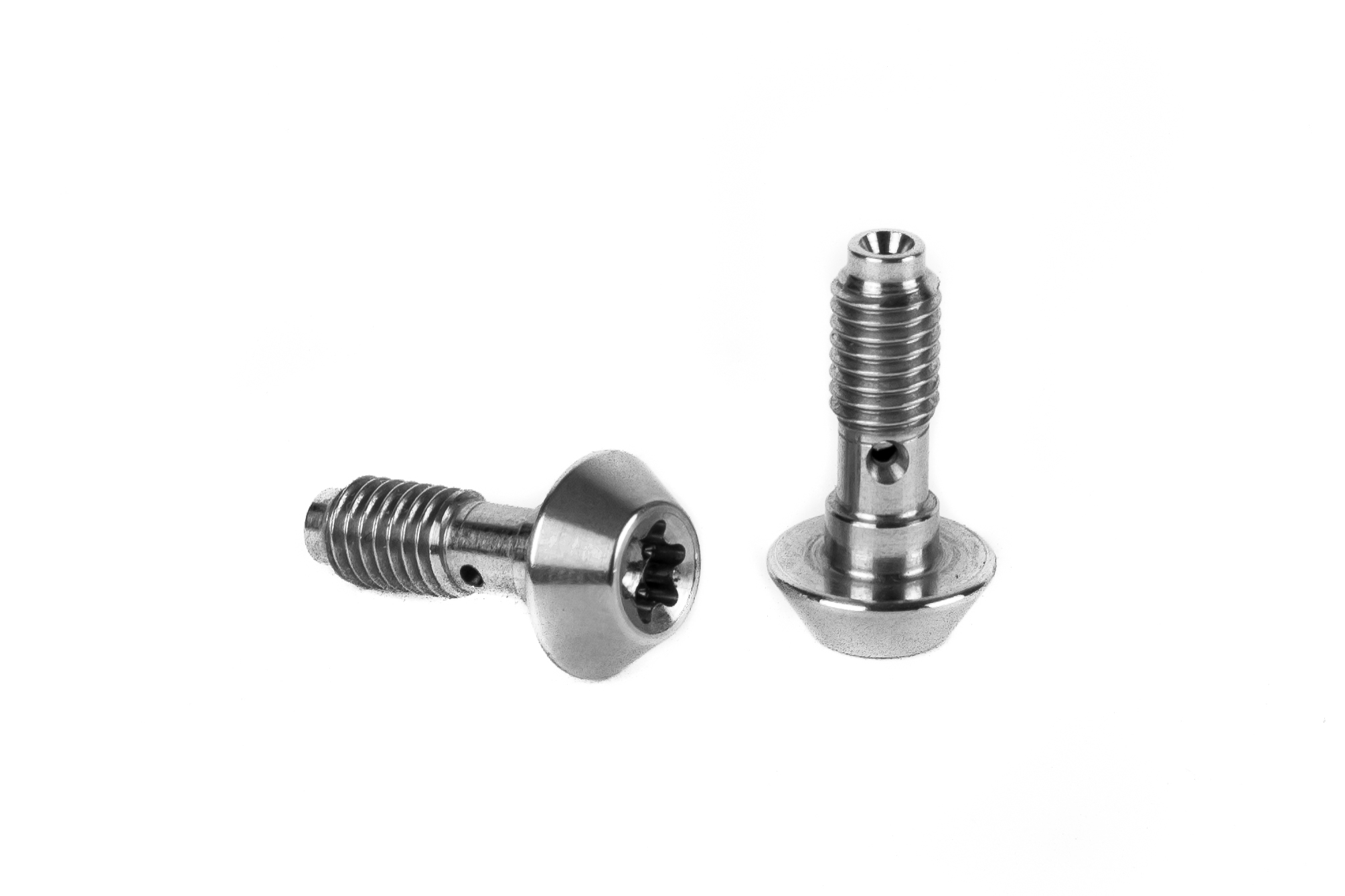 Elvedes 2 banjo bouten voor Magura